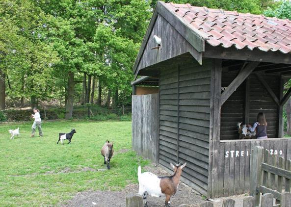 Land Gut Hotel Ritter Stadtlohn Exteriör bild